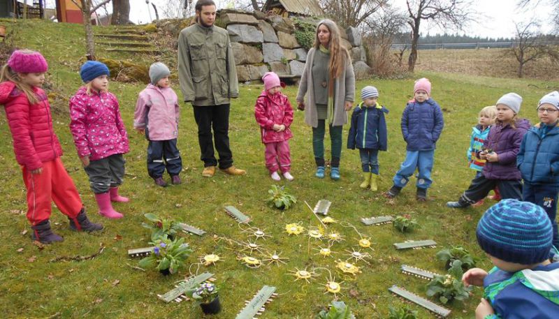 Frühling im Mandalawald
